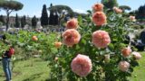 Roma, tra il Circo Massimo e l’Aventino, è in corso l’82a edizione del “Premio Roma”