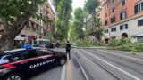 Roma, albero cade sui cavi elettrici del tram: linea interrotta (FOTO)
