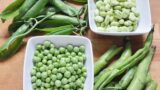 Pomezia, SOS fave e piselli: stop a produzione e vendita. Tutte le info