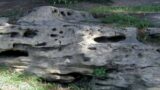 I geositi di Roma, un itinerario alla scoperta del patrimonio geologico