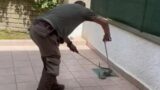 Due serpenti si ‘azzuffano per amore’ e finiscono in una casa: panico per una famiglia a Morlupo (FOTO)