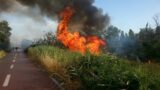 Roma, incendi boschivi: ecco l’ordinanza del sindaco in vigore dal 15 giugno