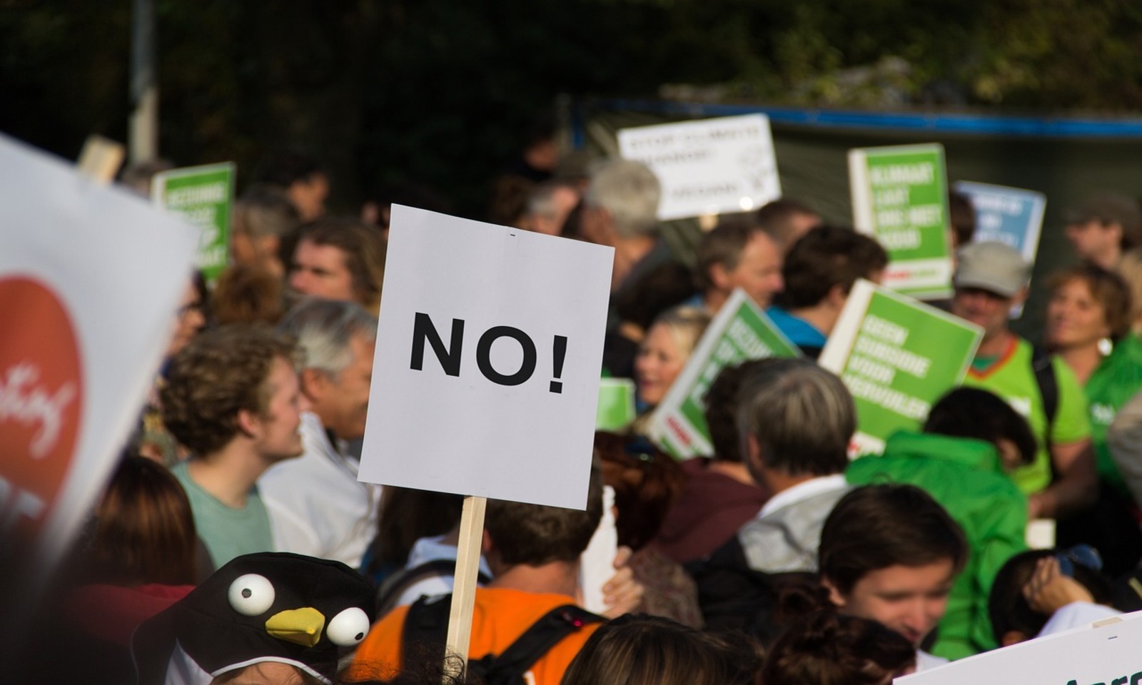 Manifestazioni oggi a Roma