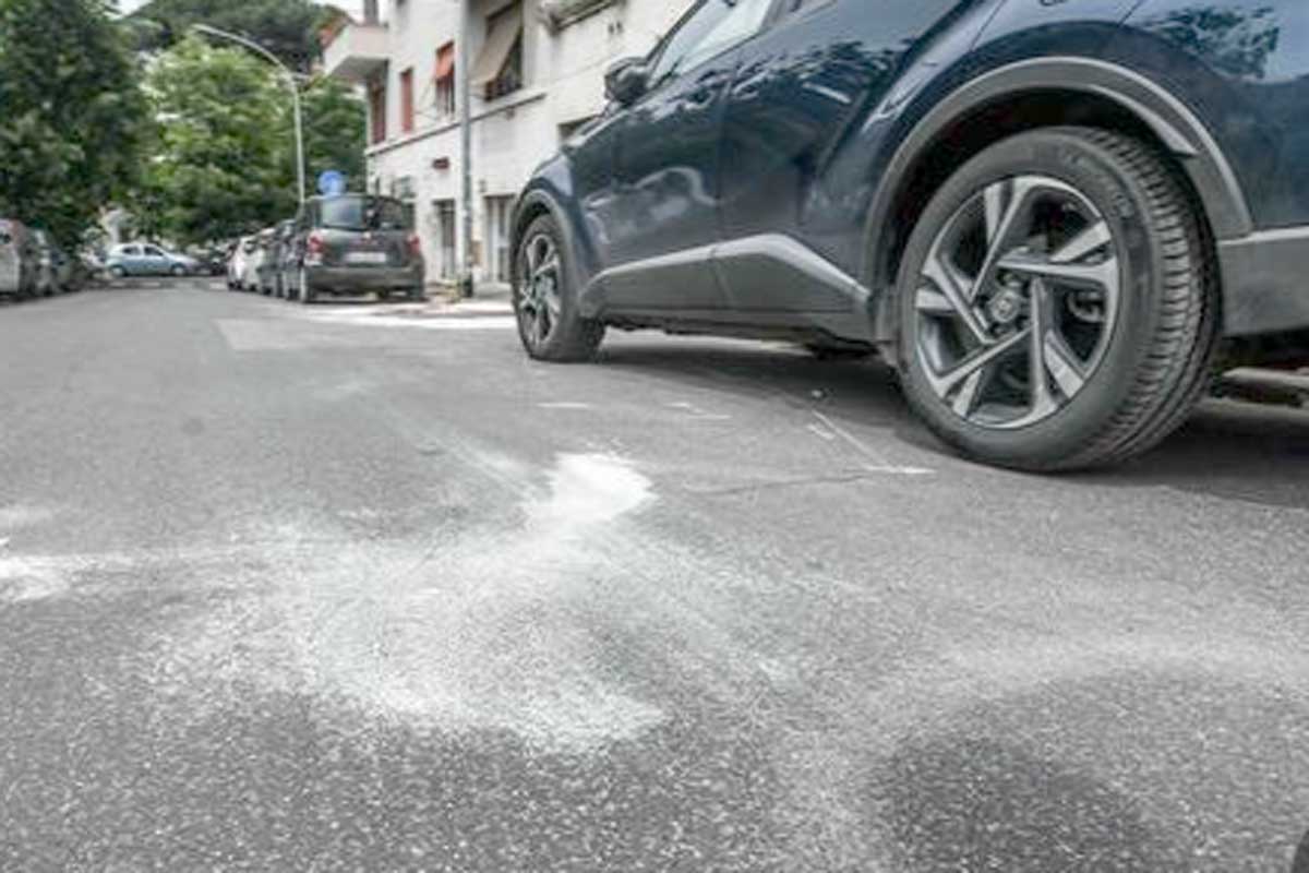 Quartire Tuscolano, l'area dove è avvenuto il sinistro. Foto de il Gazzettino