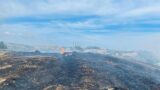 Crescono gli incendi boschivi nella Capitale: fiamme sull’Aurelia, Laurentino 38, Muratella e Prenestina