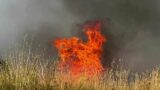 Roma, rischio incendi boschivi: prorogata ordinanza fino al 15 ottobre