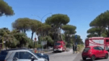 Chiusa la Cristoforo Colombo: vigili del Fuoco al lavoro per un albero a rischio caduta