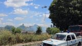 Vigne Nuove, maxi incendio nell’area verde di Rina de Liguoro (FOTO-VIDEO)