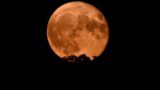 Luna Piena Rossa delle Fragole: uno spettacolo celeste imperdibile tra 21 e 22 giugno