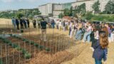 Roma, studenti piantano 80 piante officinali nel giardino dell’ospedale Gemelli