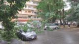 Roma, crolla un albero a Tormarancia, tragedia sfiorata. L’accusa: “Zero manutenzione”