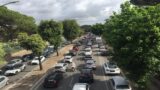 Roma, cade un albero in via Leone XIII e il traffico va in tilt: quartiere bloccato