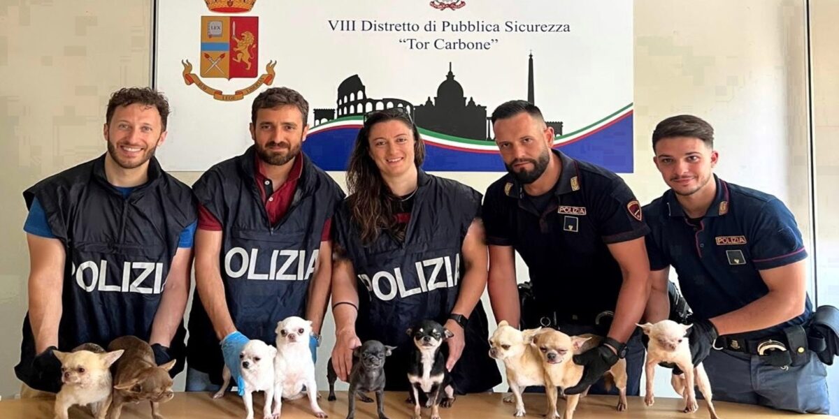 Cani salvati all'Eur dalla Polizia