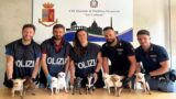 Roma, 9 cagnolini abbandonati in auto: ‘Erano chiusi negli scatoloni’