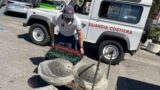 Pesca illecita a Formia, sequestrati 120 kg di cozze: multa di oltre 16.000 euro