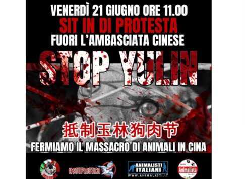 Festival di Yulin, la protesta a Roma il 21 giugno 2024