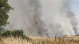 Pontina, spaventoso incendio a Castel Romano: a fuoco 6 ettari di boscaglia