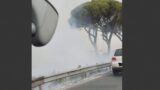 Incendio sulla Pontina, a fuoco sterpaglie a Castel Romano: traffico in tilt
