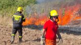 Treni fermi sulla Roma-Napoli: circolazione sospesa tra Torricola e Pomezia per incendio
