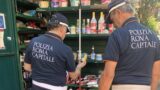 Roma, alimenti scaduti da anni e merce mal conservata: maxi sequestro e multa