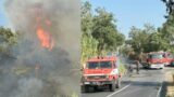 Fiumicino, brucia la pineta a ridosso dell’aeroporto: a rischio i voli aerei (FOTO)
