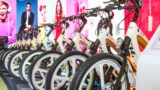 Fiumicino e Cerveteri regalano 27 bici: ecco come partecipare al bando che scade il 14 agosto