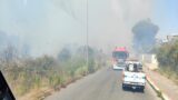 Aurelio, vasto incendio sterpaglie in corso: colonna di fumo visibile da mezza Roma (FOTO)