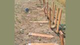 Roma, cimitero Flaminio: “Il giardino degli angeli” nel degrado