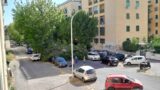 Roma, cade un altro albero: tragedia sfiorata al Tufello