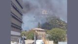 Roma, vasto incendio nella riserva naturale di Monte Mario: colonna di fumo nera avvolge il Tribunale (FOTO)