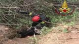 Pomezia, cane finisce in un fosso di 15 metri: salvato dai Vigili del Fuoco (FOTO)