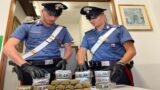 Ardea, in auto con oltre 6 kg di droga: arrestati due stranieri