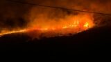 Devastanti incendi in provincia di Latina: distrutti ettari di macchia mediterranea