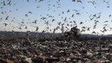 Processo per la discarica di Malagrotta, Manlio Cerroni condannato a 6 anni per disastro ambientale