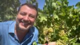 Matteo Salvini nelle vigne di Cerveteri, ‘alla faccia dei burocrati di Bruxelles’: “Prodotti italiani invidiati in tutto il mondo”