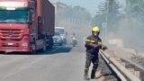 Incendio tra Ardea e Aprilia: a fuoco vasta area boschiva in via dei Rutuli