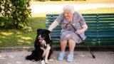 26 agosto, giornata mondiale del cane: gli over 65 che ne hanno uno vivono più a lungo