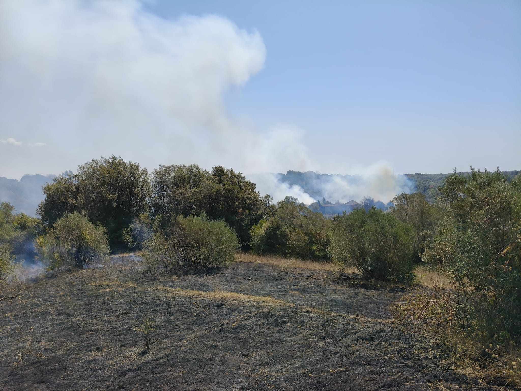 Incendio Trigoria