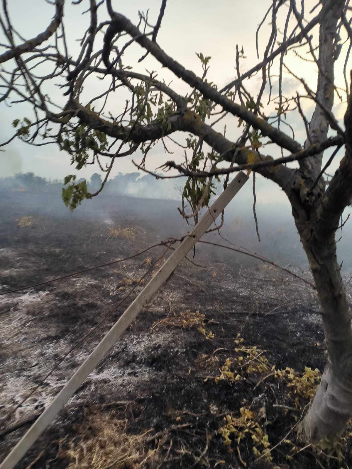 Incendio via di Valle Caia