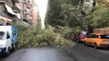Ramo di un albero cade al Prenestino e danneggia tre veicoli in sosta