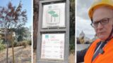 Gualtieri maltratta i pochi alberi necessari a raffreddare Roma, ma ci racconta un’altra storia
