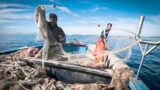 Lazio, bando a sostegno della ‘piccola’ pesca: per 19 comuni del litorale tra Roma e Latina (isole incluse)