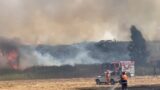 Pisana, maxi incendio boschivo in corso: colonna di fumo sulla Capitale