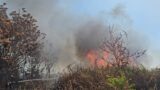Nuovo Salario, vasto incendio boschivo sul Viadotto dei Presidenti: carreggiata chiusa e fiamme altissime (FOTO)