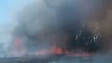 Incendio a Tor Cervara, le fiamme sfiorano il tratto urbano dell’A24