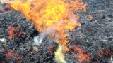 Maxi incendio a Santa Palomba, fiamme a ridosso della stazione ferroviaria