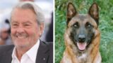 “Uccidete e seppellite il cane insieme a me”: ma i figli di Alain Delon salvano Loubo