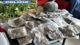 Anzio, coltivava marijuana in casa: arrestata una donna, sequestrati 1,5 kg di sostanza
