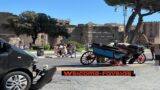 Roma, incidente tra un veicolo ed una botticella ai Fori Imperiali