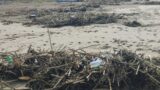 Piramidi “di rifiuti” sul lungomare, da Ardea ad Ostia le spiagge sono invase di detriti e sporcizia